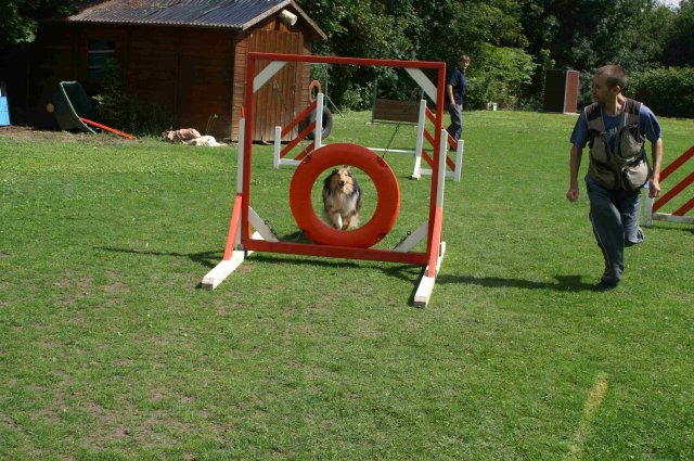 agility 2011-07-24